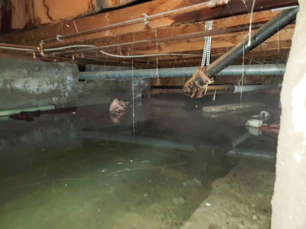 Best Water damage restoration cost  in Ettrick, VA