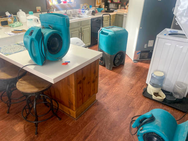 Best Local water damage restoration  in Ettrick, VA