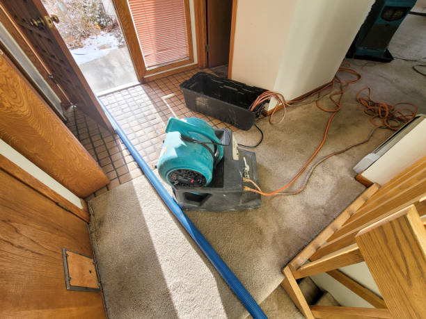 Best 24-hour water damage restoration  in Ettrick, VA