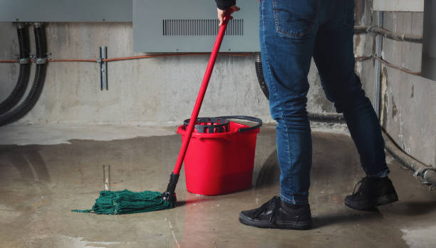 Best Water damage repair service  in Ettrick, VA