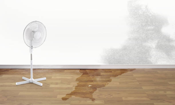 Best Water damage restoration near me  in Ettrick, VA