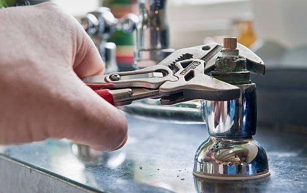 Best Professional water damage repair  in Ettrick, VA