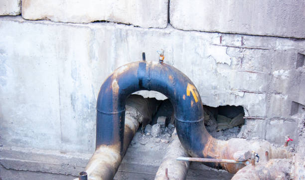Best Mold removal after water damage  in Ettrick, VA