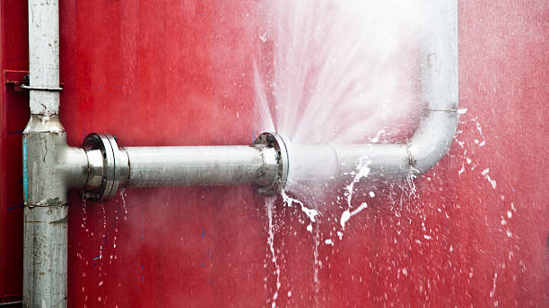 Best Sewage cleanup and water damage restoration  in Ettrick, VA