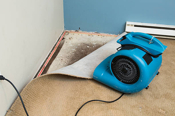 Best Water damage restoration near me  in Ettrick, VA