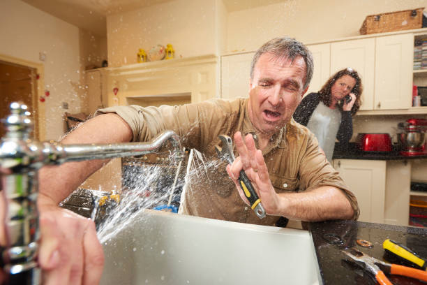 Best Carpet water damage restoration  in Ettrick, VA